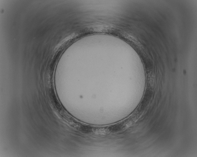 X0000067500587200604281545