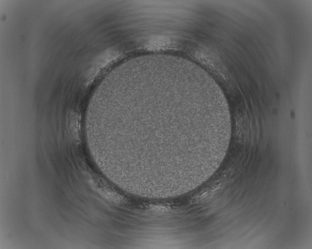 X0000067500592200604281545
