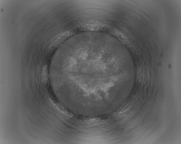 X0000067500594200604281545