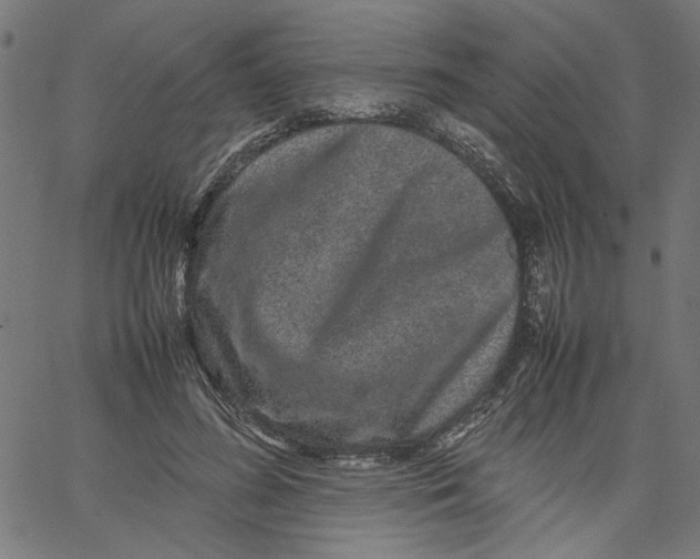 X0000067500596200604281545