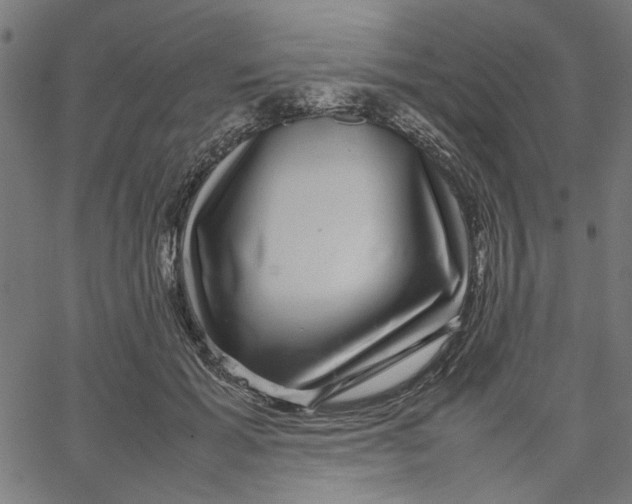 X0000067500605200604281544