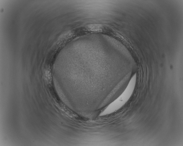 X0000067500609200604281544