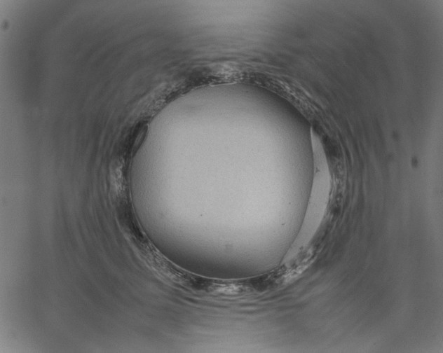 X0000067500611200604281544
