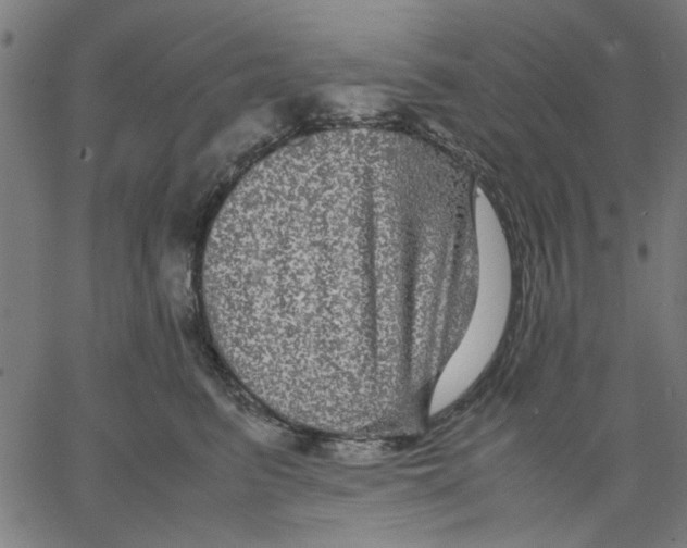 X0000067500615200604281544