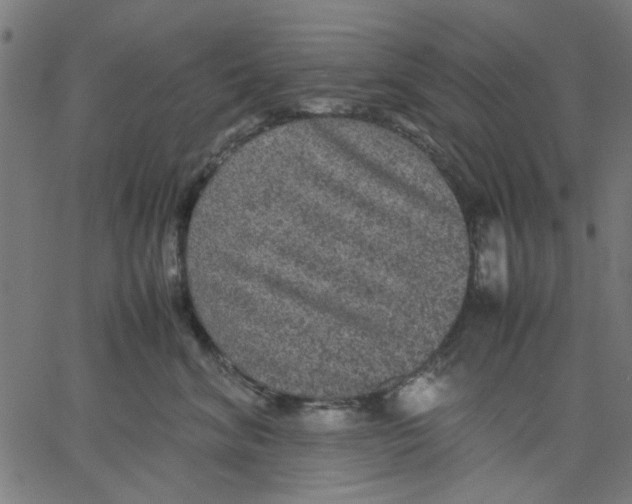 X0000067500620200604281544