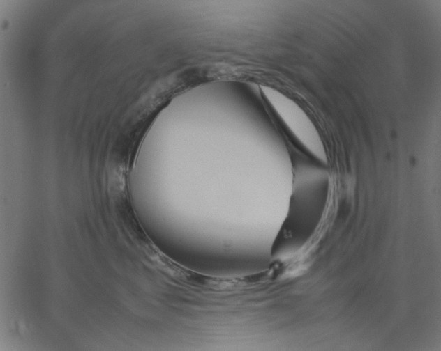 X0000067500621200604281544