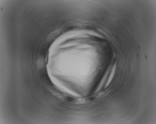 X0000067500623200604281544