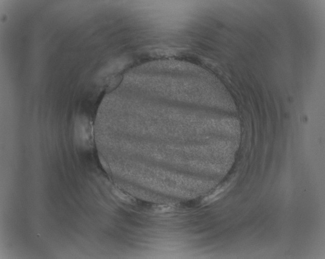 X0000067500624200604281544