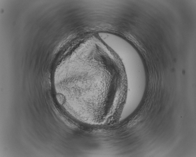 X0000067500634200604281543