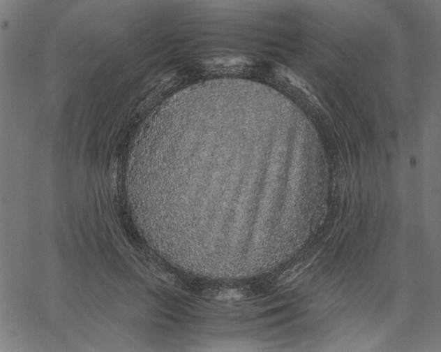 X0000067500647200604281544