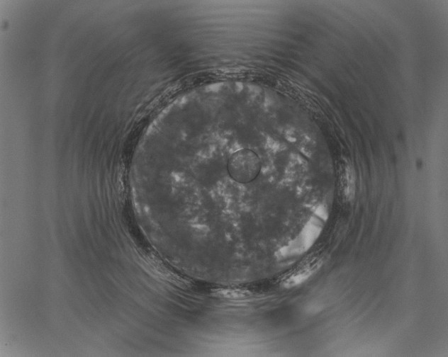 X0000067500654200604281544