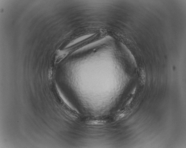 X0000067500657200604281544