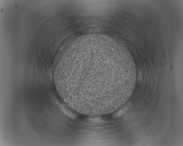 X0000067500666200604281544