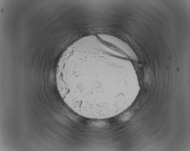 X0000067500669200604281544