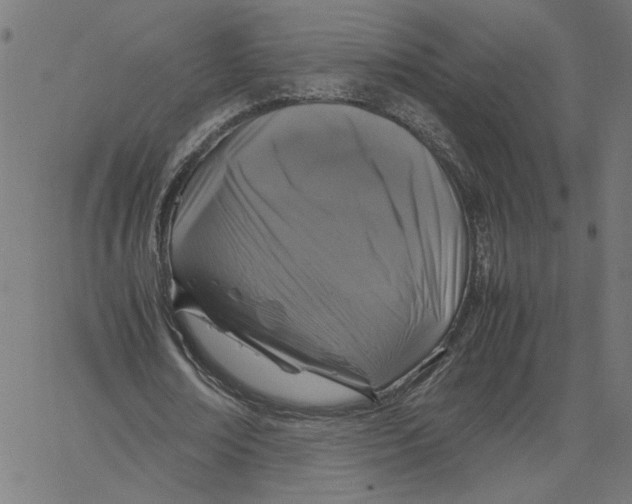 X0000067500674200604281543
