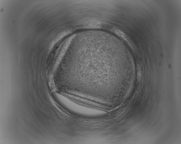 X0000067500677200604281543