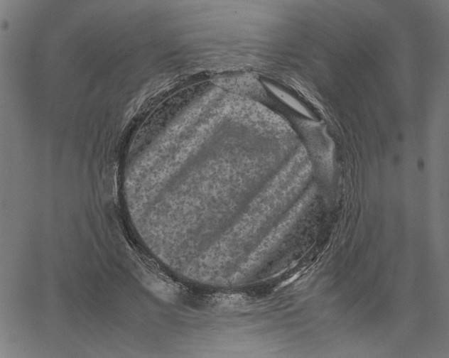 X0000067500685200604281543