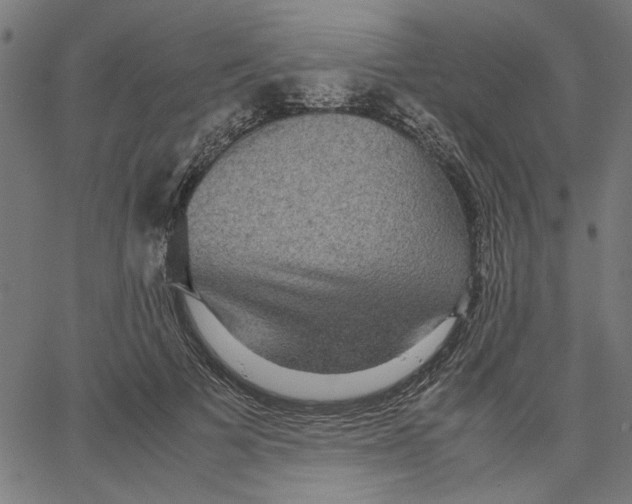 X0000067500697200604281543