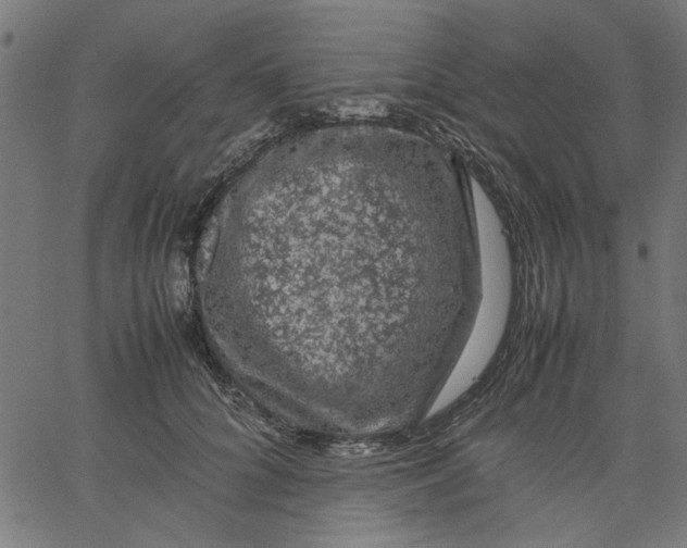 X0000067500704200604281543