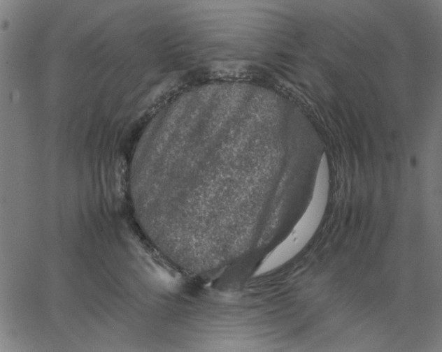 X0000067500712200604281543