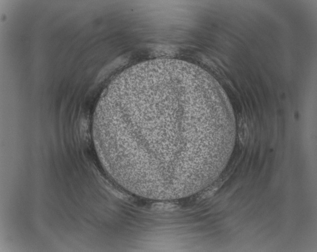 X0000067500714200604281543