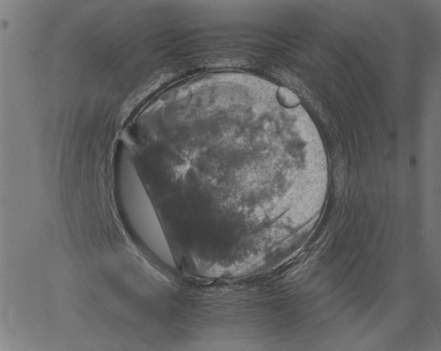 X0000067500721200604281542