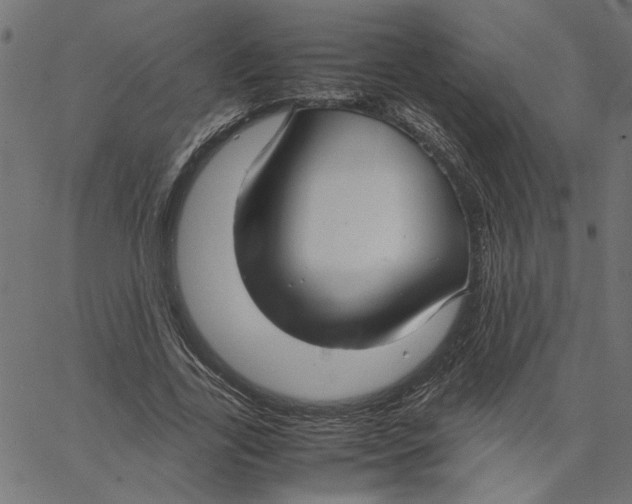 X0000067500731200604281542