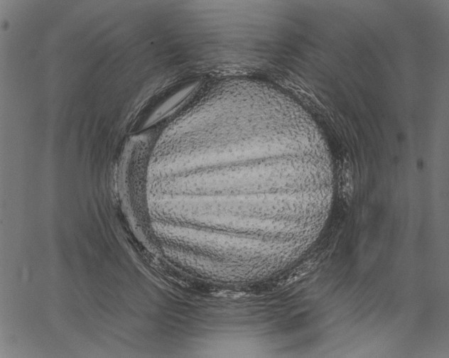 X0000067500742200604281542