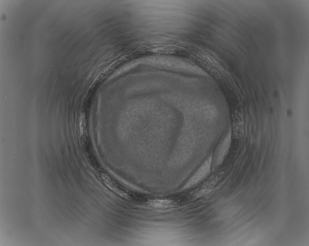 X0000067500748200604281542