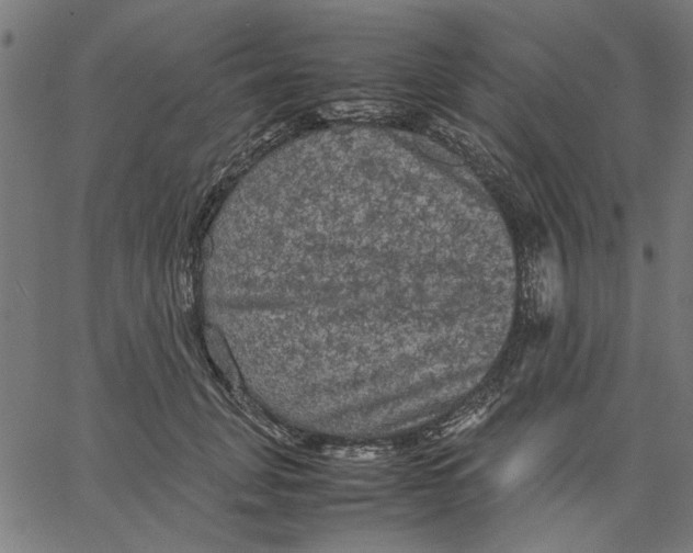 X0000067500751200604281542