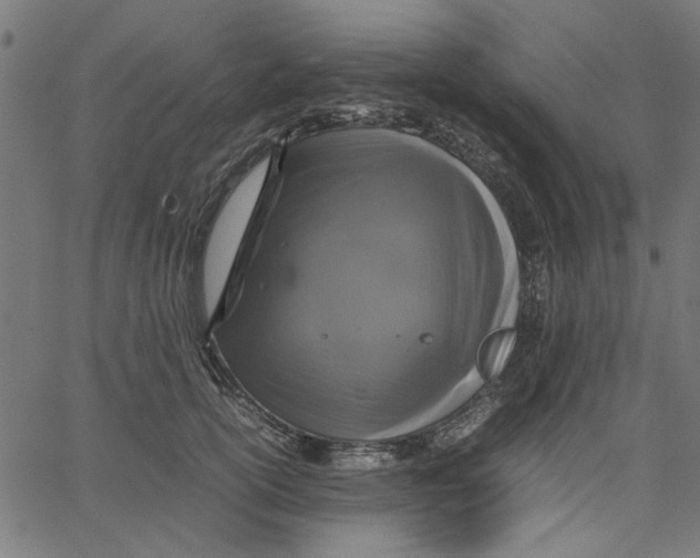 X0000067500754200604281542