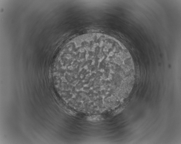 X0000067500761200604281542