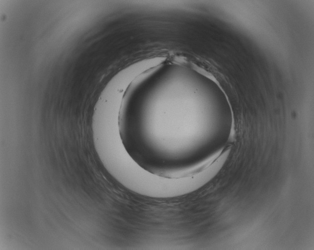 X0000067500763200604281542