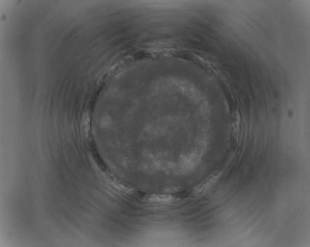 X0000067500767200604281542