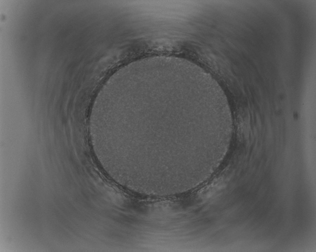 X0000067500769200604281542