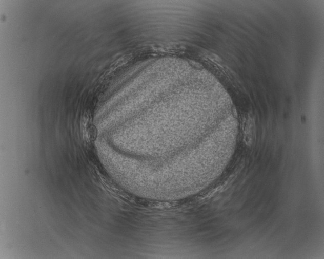 X0000067500770200604281542