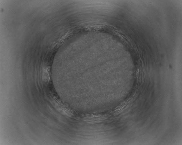 X0000067500772200604281542