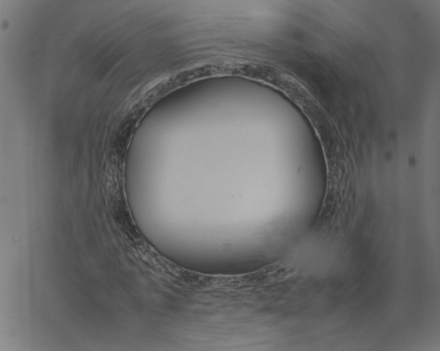 X0000067500773200604281542