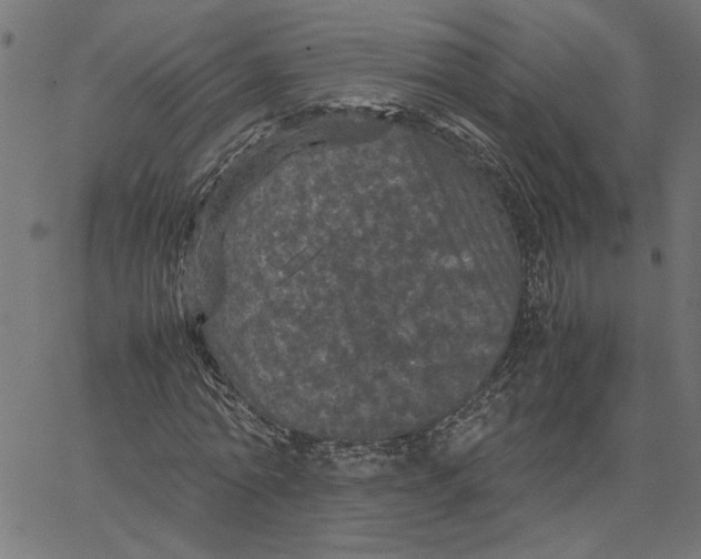 X0000067500774200604281542