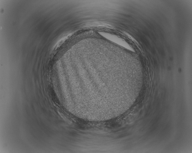 X0000067500775200604281542