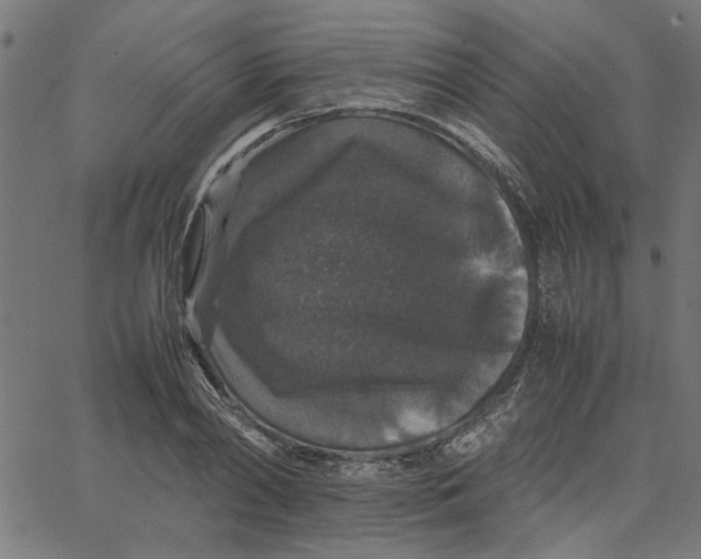 X0000067500790200604281541