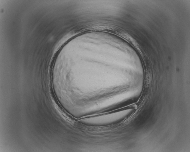 X0000067500795200604281541