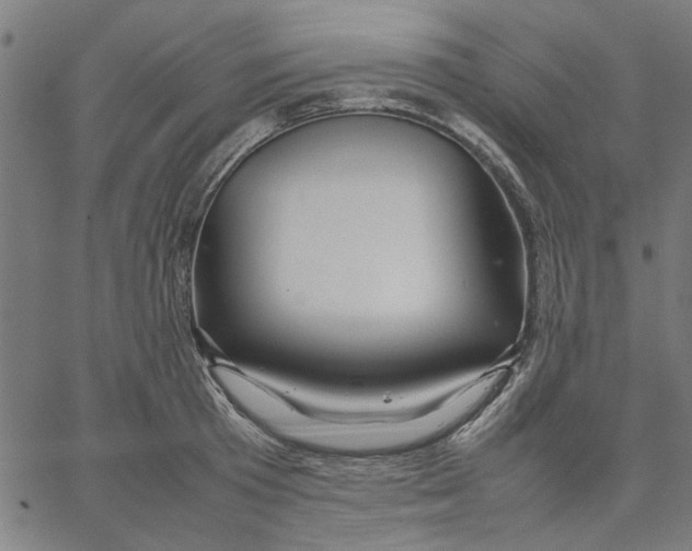X0000067500801200604281541