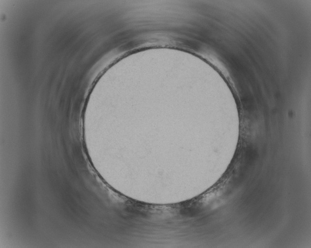 X0000067500807200604281541
