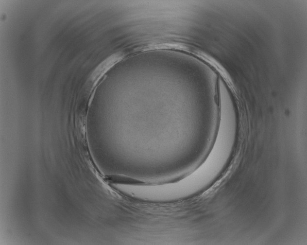 X0000067500809200604281541