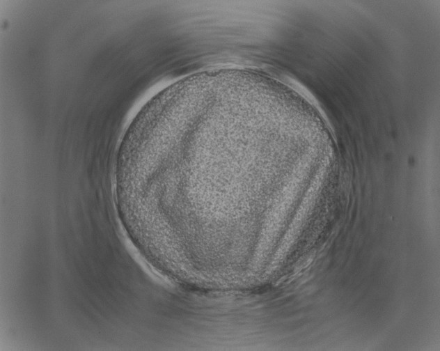X0000067500811200604281541