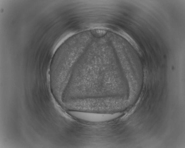 X0000067500814200604281541