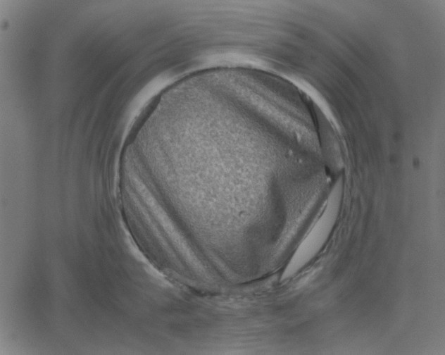 X0000067500815200604281541