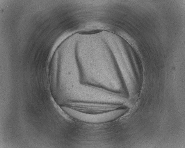 X0000067500816200604281541