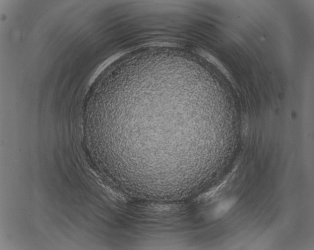 X0000067500829200604281540